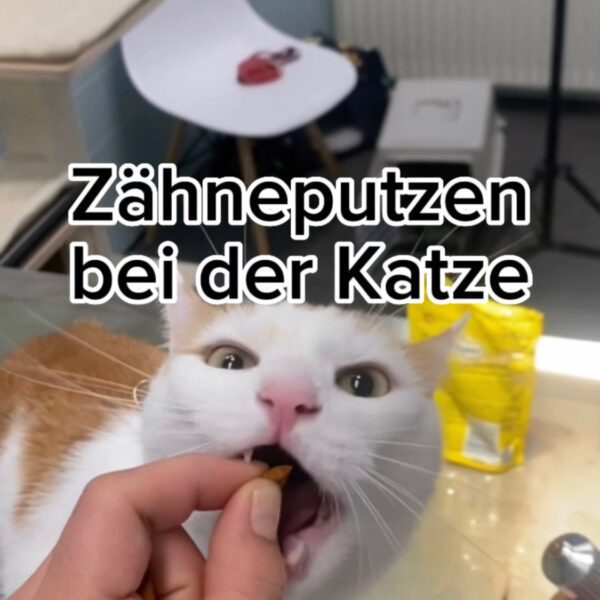 Tierarztpraxis Madlener